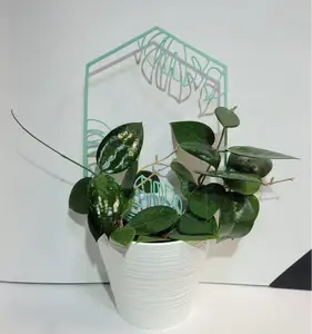 Monstera Leaf Mini Plant Trellis