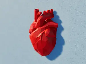 Not a Seletti Heart, Wall love in low poly