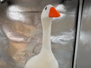 Desk Mode - Untitled Goose