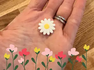 Small Daisy Flower