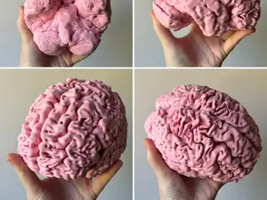 My Actual Human Brain