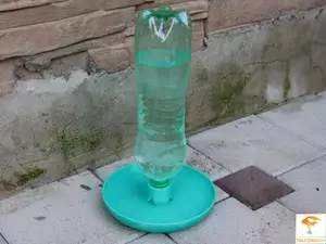 Water bowl for chicks