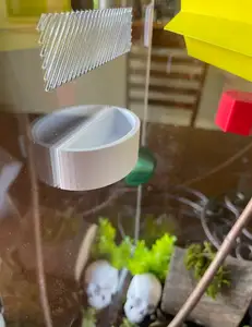 spider water/food bowl.