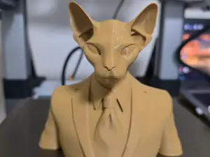 sphynx with suit