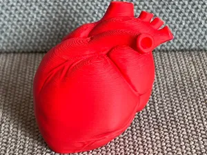 Anatomical Heart – Minimal Romantic 3D Valentine