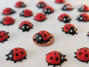 Mini Ladybug No AMS