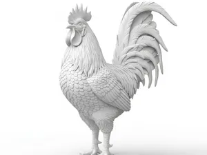 Gallo Realistico 3d