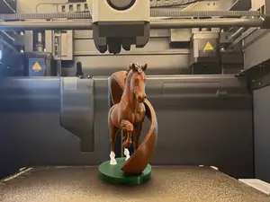 Stallion