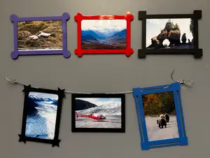 4x6 Picture Frames - Basic Shapes