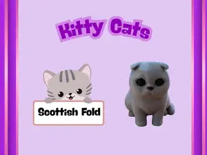Kitty Cats: Scottish Fold