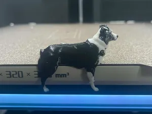 Border Collie Monitor Buddy