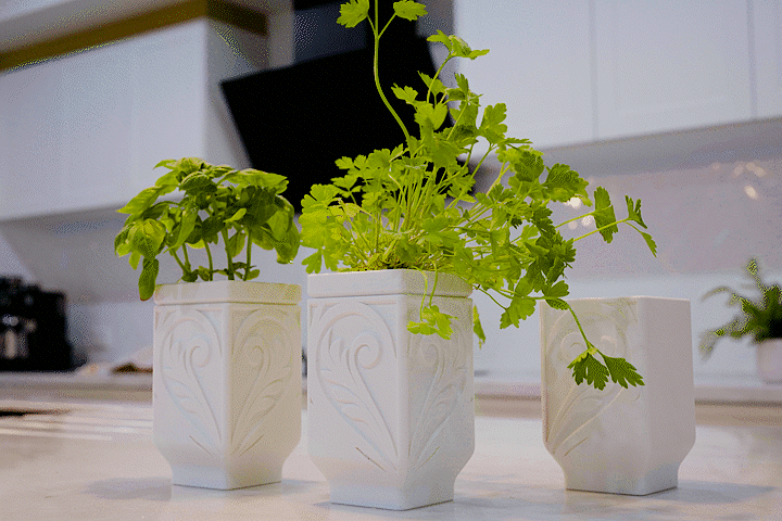 Self-watering Herb Planter for the kitchen