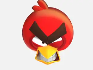 Angry bird