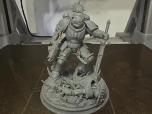 First Order Vanguard Champion – "Void Champion"