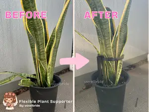Flexible Plant Supporter / Holder Ring