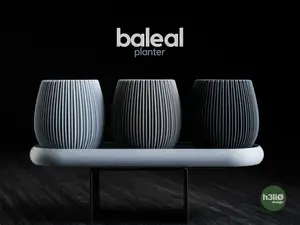 baleal • planter