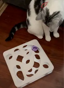 Cat hole toy｜猫咪洞洞玩具