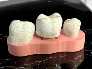Tooth Desk Fidget Clicker