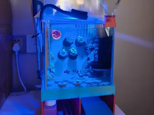 《麻雀》海缸系统1代-含集成背滤+藻仓+活石仓+蛋分+乱流出水口+珊瑚支架+喂食槽+工具支架