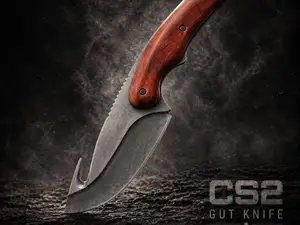 CS2 Gut Knife