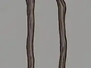 moran