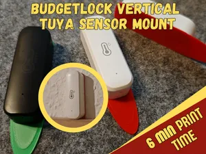 BudgetLock Halterung Tuya Temperatur-Feuchtesensor