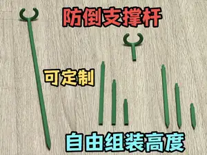 园艺花卉防倒支撑杆 - 可定制