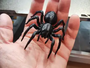Realistic Tarantula spider