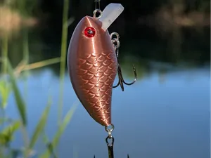 Print-and-Fish One-Piece Crankbait for Pike Bass