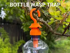 Bottle Wasp Trap