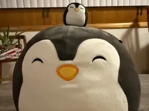 Luna the Penguin Squishmallow (also Puff and Elle)