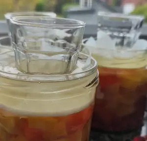 Fermenting Ring