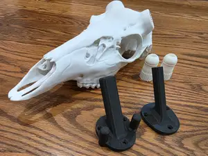 Deer Skull Wall Hang Bracket - 2026