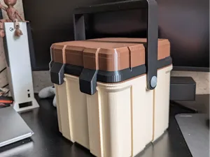 Robuste Box mit Henkel Transport