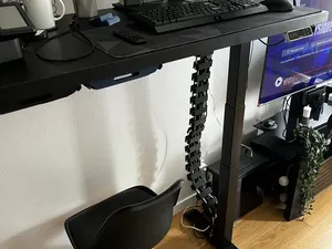Cable spine for standing desk