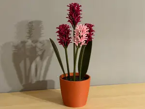 Hyacinth Flower - Modular