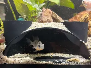 Aquarium observation cave
