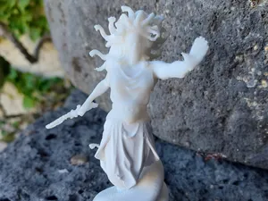 L'incantesimo di medusa