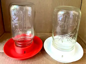 Chick Waterer