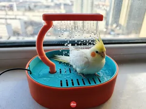 鹦鹉淋浴器