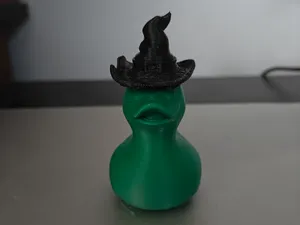 Elphaba Duck