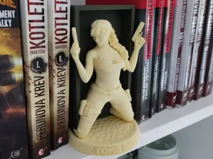 Lara Croft Book Nook