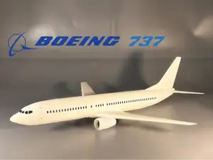 Boeing 737-800 / Print-In-Place