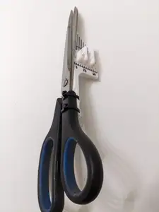 Scissor cutting guide