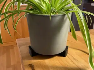 Plant Pot Riser