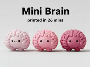 Mini Brain – Fun Anatomy Figure