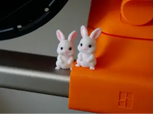 Cute Tiny Rabbit