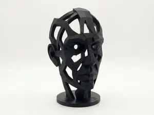 Futuristic Face