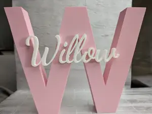 Willow Name Art