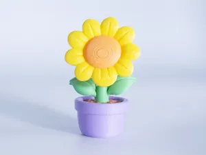 Sunflower Plant